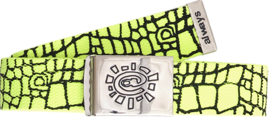 Always - Croc Print Belt