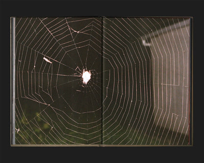 Friend Editions - Blue Summer: Jarrad Carlin