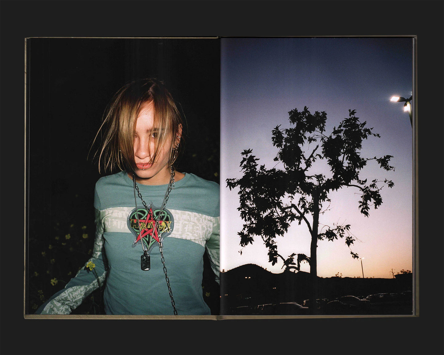 Friend Editions - Blue Summer: Jarrad Carlin