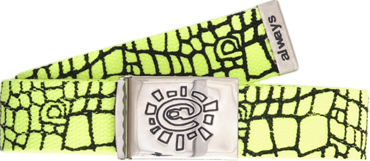 Always - Croc Print Belt