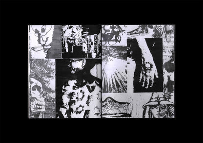 Friend Editions - Stuck in a Body: Daniel Albrigo